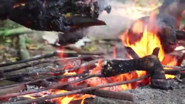 Close Shot Legs Head Goat Being Burned Black Open Wood — Stock video