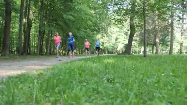 Vier Freizeitdamen Laufen Mit Kamerafahrten Schatten Über Die Parkstraße Fps — Stockvideo