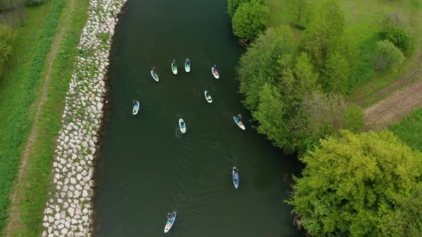 Paddle Boarding Bird View Drone Shot Flying People Lots Green — Video
