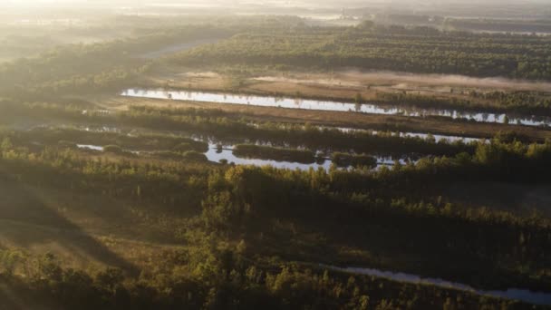 Magical River Delta Misty Landscape Bright Morning Sunshine Aerial View — Stock Video