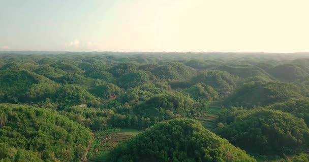 Birds Eye View Typical Green Forest Hills Wonosari Region Indonesia — Stockvideo