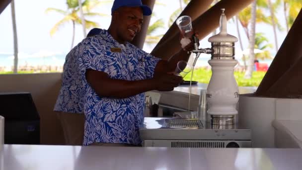 Beer Tap All Inclusive Caribbean Resort Pool Bartender Smiles Laughs — Stock Video