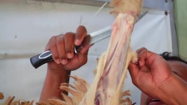 Homme Écorche Une Jambe Chèvre Avec Gros Couteau — Video