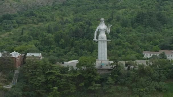 Georgian Kartlis Deda Monument Awarded Shota Rustaveli State Prize — стоковое видео