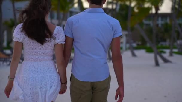 Rear View Couple Holding Hands Walking Sandy Beach Wind Blows — Vídeos de Stock