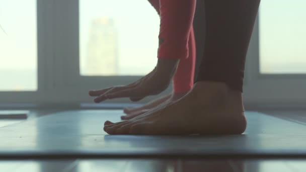Femme Aux Cheveux Longs Faisant Yoga Portant Pantalon Yoga Une — Video