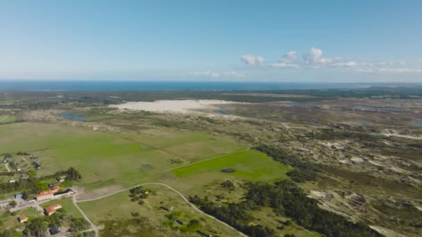 Een Panoramisch Uitzicht Grote Zandduinen Midden Het Bos Velden Van — Stockvideo
