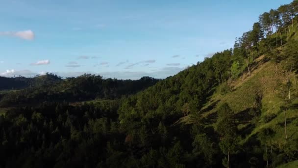 Hill Side Orbit Drone Shot — Vídeo de Stock