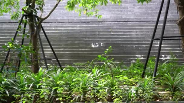 Beautiful Waterfall Wall Decoration Garden — Stockvideo