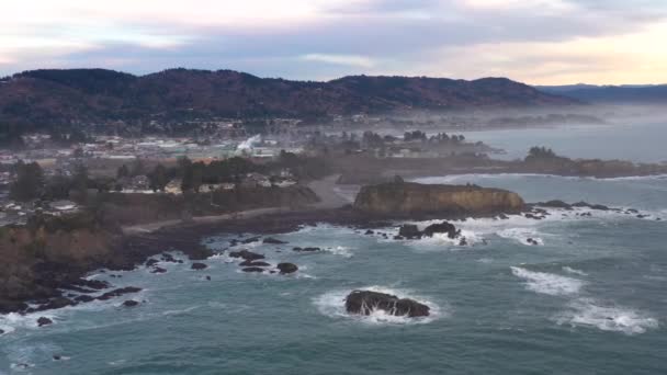 Aerial View Coastline Brookings Oregon Usa — 비디오