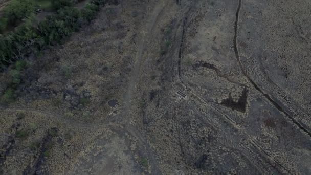 Slow Aerial Reveal Land Development Maui Hawaii Destined Provide Housing — Stock videók