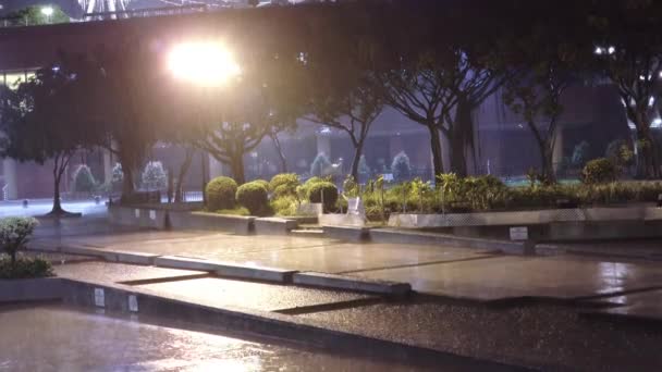 Heavy Rain Shatin Town Center Park Trees Night Lights Hong — Αρχείο Βίντεο