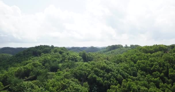 Cinematic Flight Dense Forest Growing Hills Cloudy Sky Sunlight Asia — Stok Video