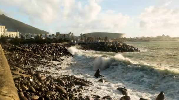 Waves Crash Black Rocky Beach Cape Town Waterfront Mother City — Stock video