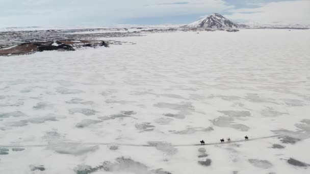 Aerial Winter Landscape Group Tourists Horses Riding Tour Trip Vast — Video Stock