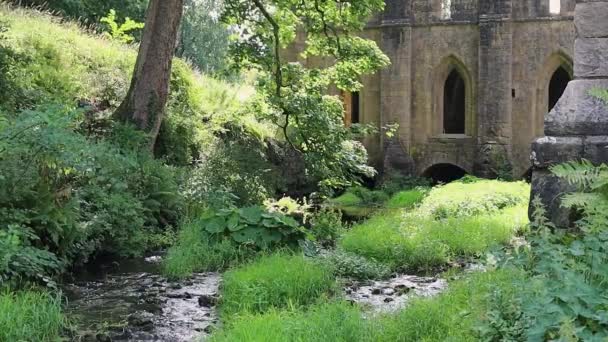 Sunlit Stream Running Ruined Cistercian Monastery Fountains Abby North Yorkshire — Stock video