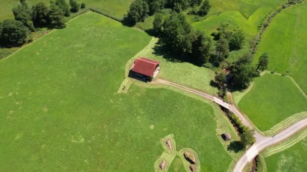 Aerial View Farm Fields Landscape Swiss Nature — Stockvideo