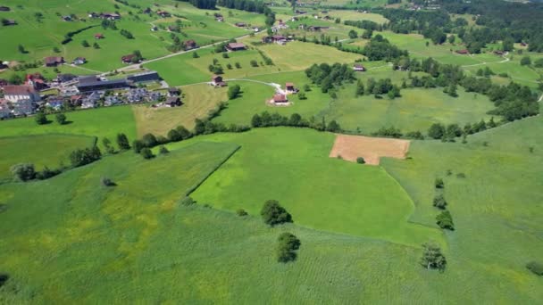 Aerial View Forest Green Fields — Video