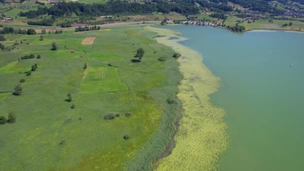Aerial View Lake Lotus Flowers Lake — Stockvideo