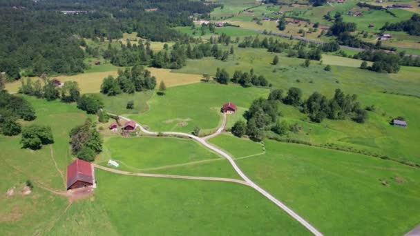 Aerial View Forest Farmhouses — Stockvideo