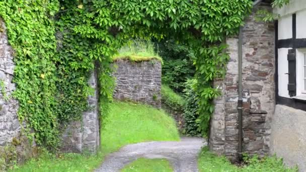 Stone Archway Overgrown Ivy Wildenburg Castle West Germany Cloudy Day — 비디오