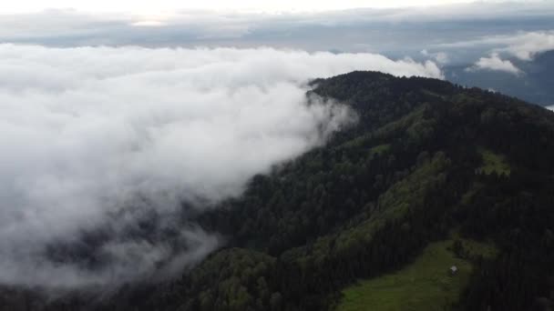 Peaceful Flight Lush Green Mountains Fog Clouds Slowly Blanketing Them — Stockvideo