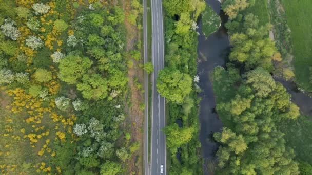 Two Cars Each Other Lush Leafy Landscape Spring Europe Static — Stockvideo