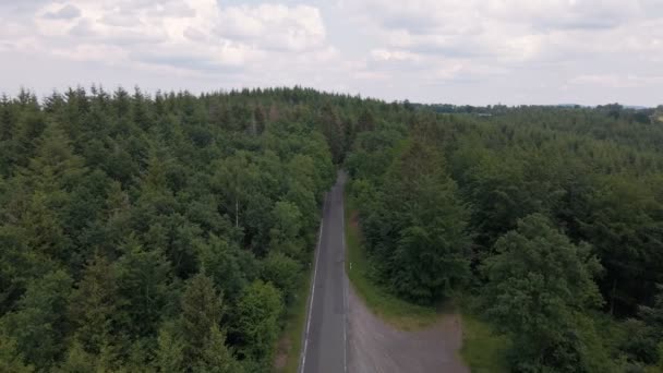 Drone Flight Asphalt Road Passing Motorcycle Going Huge Pine Forest — Stockvideo