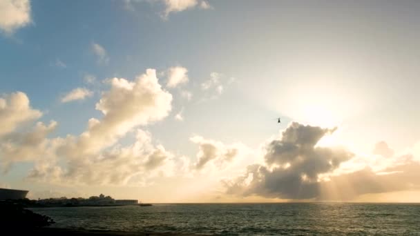 Helicopter Takes Tourists Scenic Flight Cape Peninsula Sunset — Stockvideo