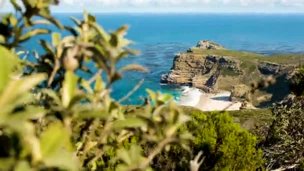 Slider Shot Fynbos Reveals Diaz Beach Cape Point South Africa — стоковое видео