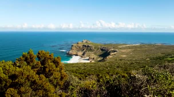 Native Fynbos Cape Floral Kingdom Cape Point Coast Diaz Beach — Stock Video