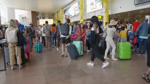 People Crowd Brussels Airport Departure Terminal Belgium Passengers Leaving Summer — Video