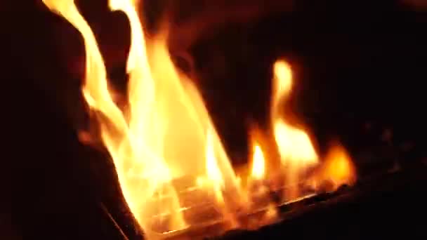 Пожежа Приготування Барбекю Повільному Русі — стокове відео