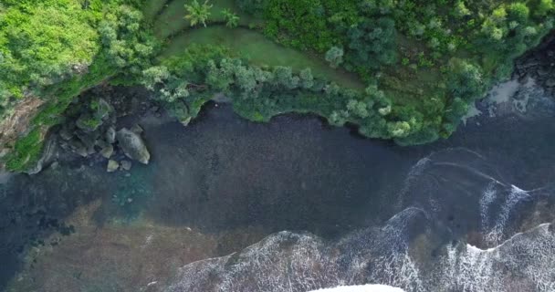 Aerial Cliff Overgrown Tress Border Sea Drone Shot Sea Wave — Video Stock