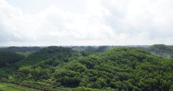 Cinematic Drone Shot Dense Forest Growing Hills Cloudy Sky Sunlight — Video Stock