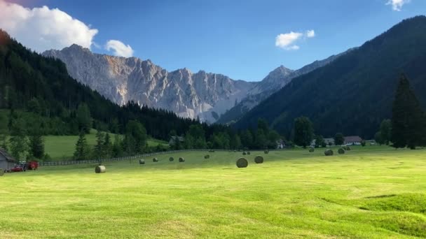 View Mown Field Straw Bales High Rocky Mountains Background Austria — Wideo stockowe
