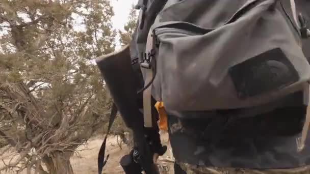 Great Back View Hunters Stalking Deer Colorado Everyone Prepared Long — Stock video