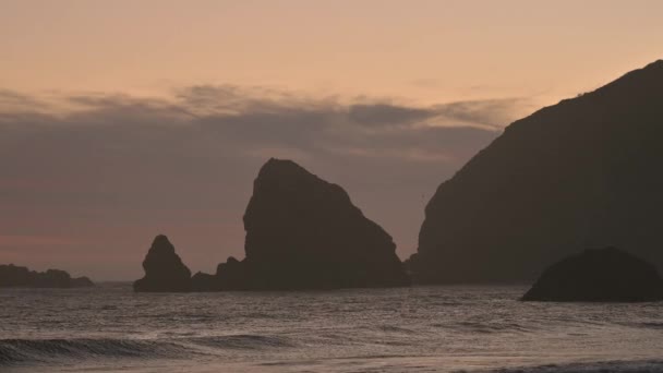 Oregon Coast Sunset Silhouetted Rocks Birds Flying — Video Stock