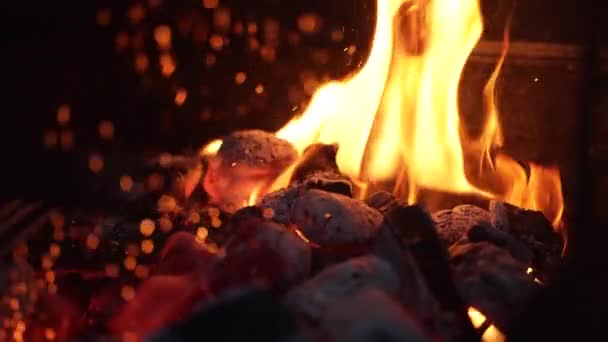 Fire Preparation Barbecue Slow Motion — Video Stock