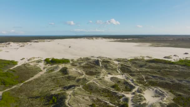 Panoramic View Large Sand Dunes Middle Denmark Forest — Stockvideo