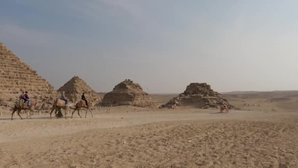 Туристи Верблюдами Некрополі Гіза Плато Гіза Великий Каїр — стокове відео