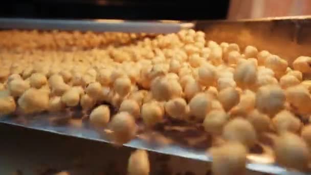 Natural Hazelnut Processing Factory Slow Motion — Stock video