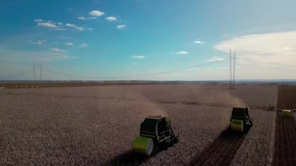 Tractor Harvester Pickers Gather Cotton Huge Plantation Aerial View — Vídeo de Stock