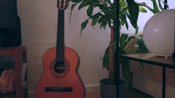 Interior Design House Guitar House Plants Penthouse — Stock video