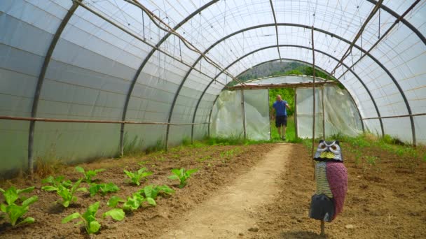 Man Carrying Hoe His Shoulder Enters Greenhouse Analyzes Plants — Video