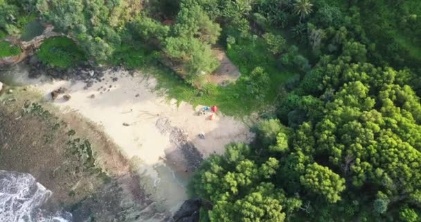 Aerial Top Shot Small Sandy Beach Sea Forest Trees Background — Video