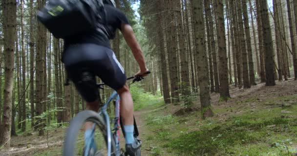 Mountainbiker Comes Frame Beaten Forest Path Slow Motion Goes Out — Stockvideo