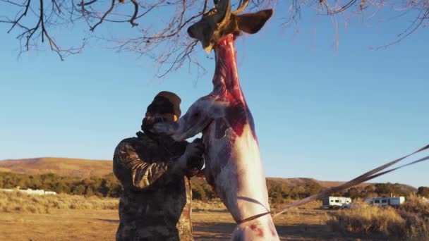 Man Skillfully Processes Meat Hanging Deer Old World Traditions Form — Vídeo de Stock