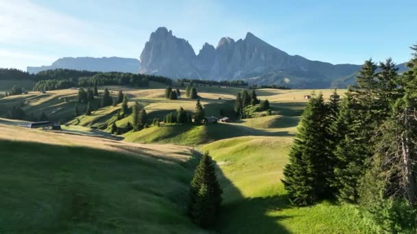 Aerial View Seiser Alm Plateau Traditional Wooden Mountain Cottages Meadows — Wideo stockowe