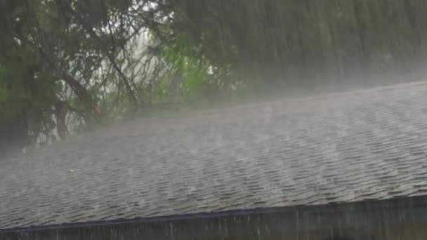 Heavy Rain Shingle Roof — Vídeo de Stock